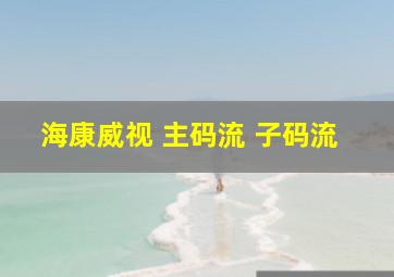 海康威视 主码流 子码流